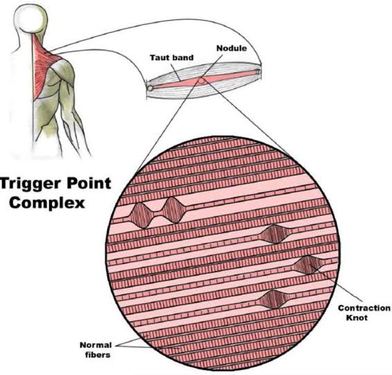 Wagner portfolio 20